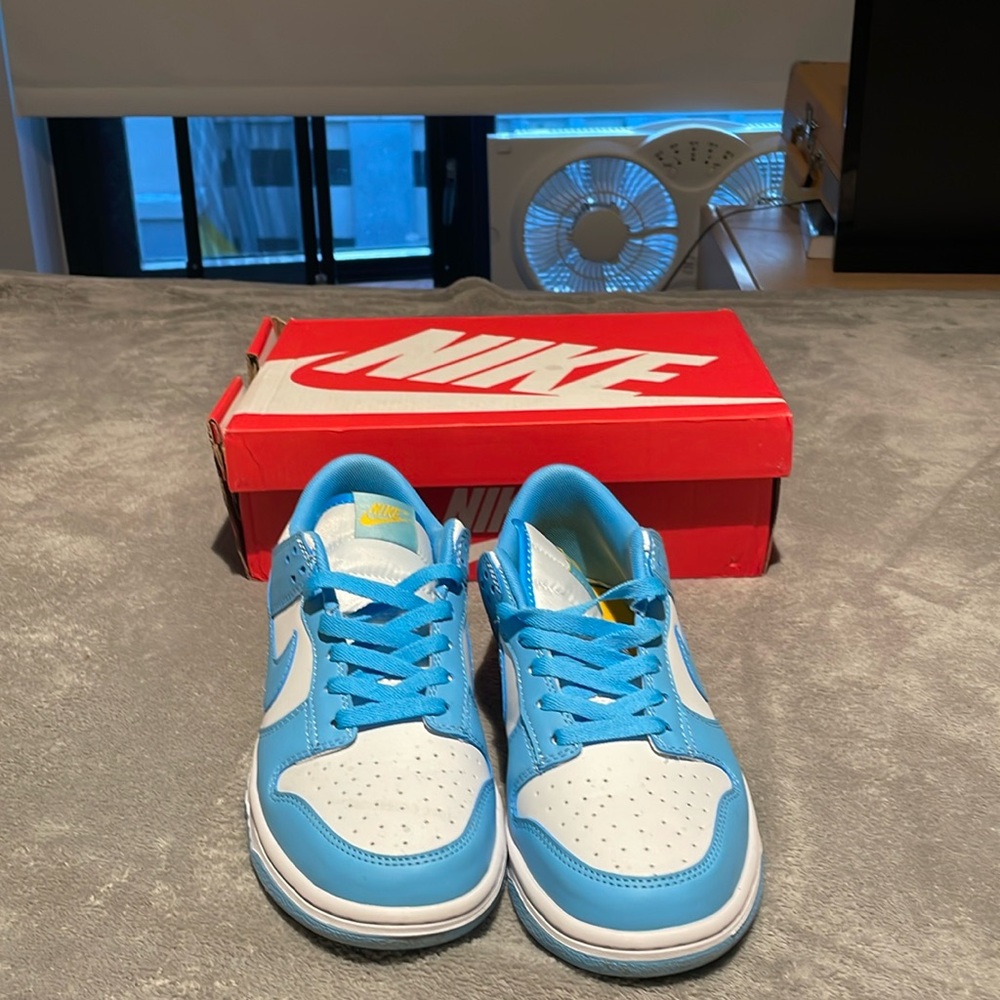 Nike Dunks Low Coast Premium